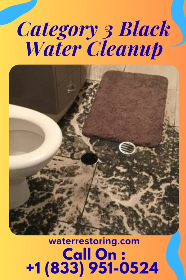 Category 3 Black Water Cleanup in Garber, OK